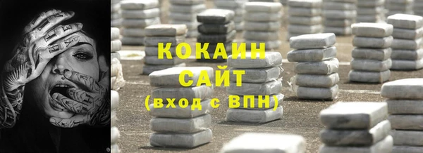 соль ск Абаза