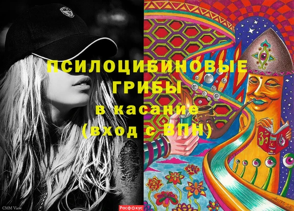 тгк Алексин