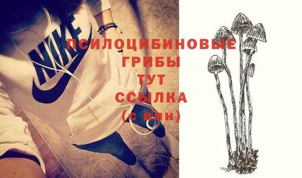 ешки Абинск